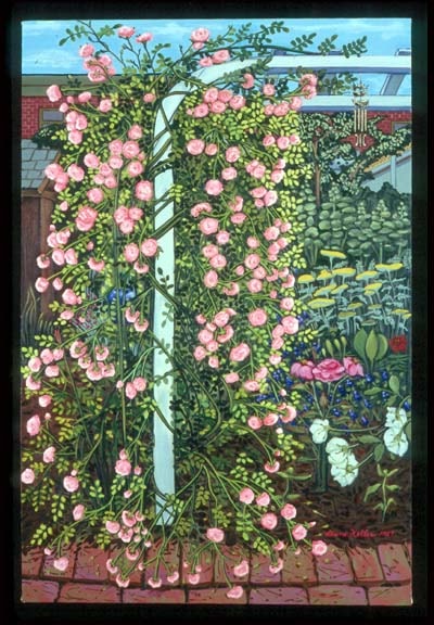 Aunt Pat's Roses