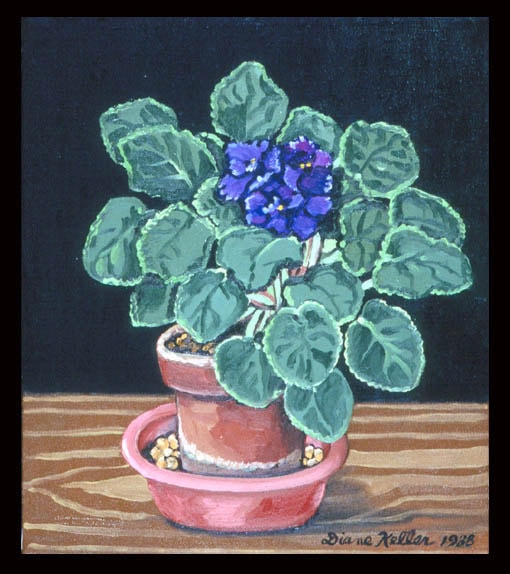 Violets